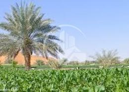للبيع مزرعة فخمة في امارة العين الهير