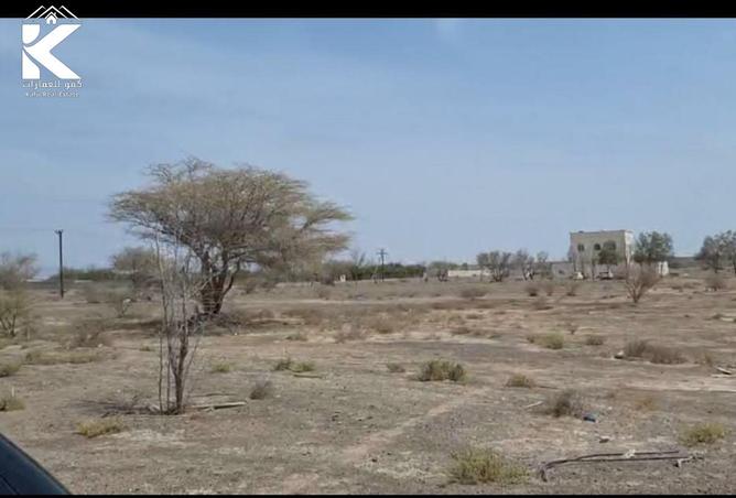 14806007 - Property Image 3