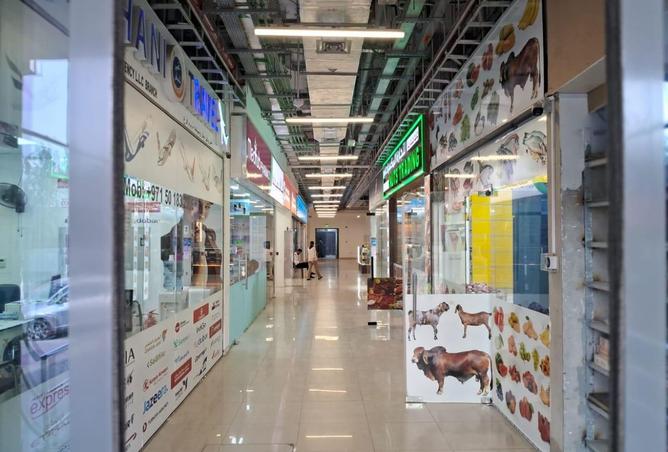 15766446 - Property Image 3