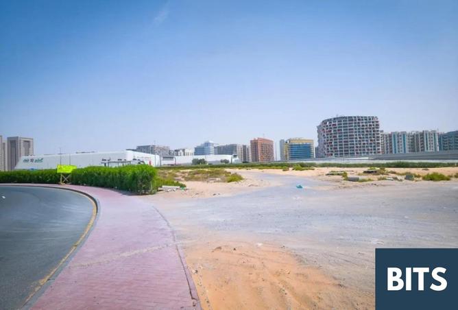 15573839 - Property Image 3