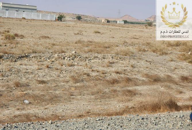 15469474 - Property Image 3