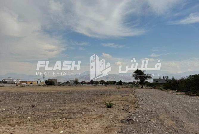 16100243 - Property Image 2