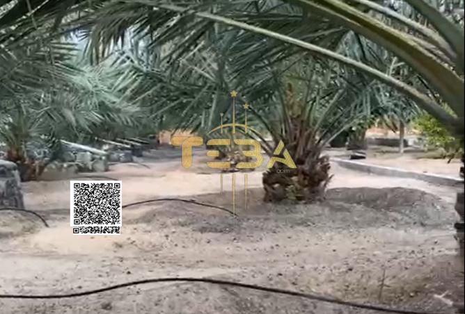 15258199 - Property Image 3