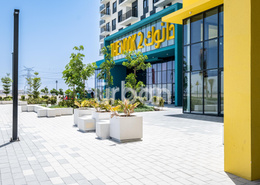 Apartment - 2 bedrooms - 1 bathroom for rent in The Nook - Wasl Gate - Dubai Apartment - 2 bedrooms - 1 bathroom for rent in The Nook - Wasl Gate - Dubai