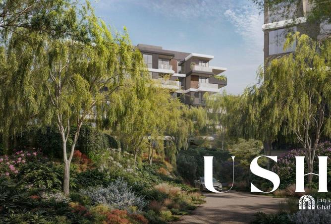 16021353 - صورة العقار 3