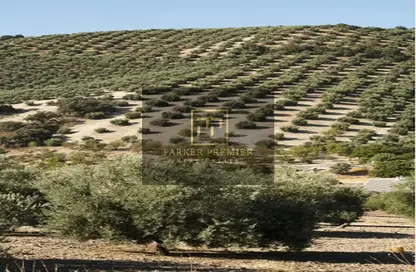 مزرعة - استوديو للبيع في مدينة زايد العسكرية - أبوظبي