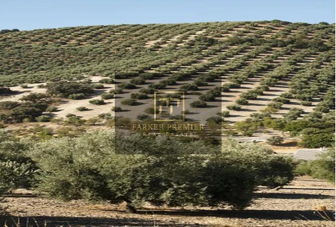 16038085 - الصورة الرئيسية للعقار