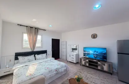 Apartment - Studio - 1 Bathroom for rent in Binal Jesrain - Between Two Bridges - Abu Dhabi Apartment - Studio - 1 Bathroom for rent in Binal Jesrain - Between Two Bridges - Abu Dhabi