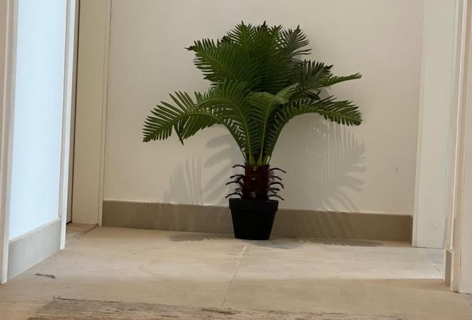 15485662 - صورة العقار 2