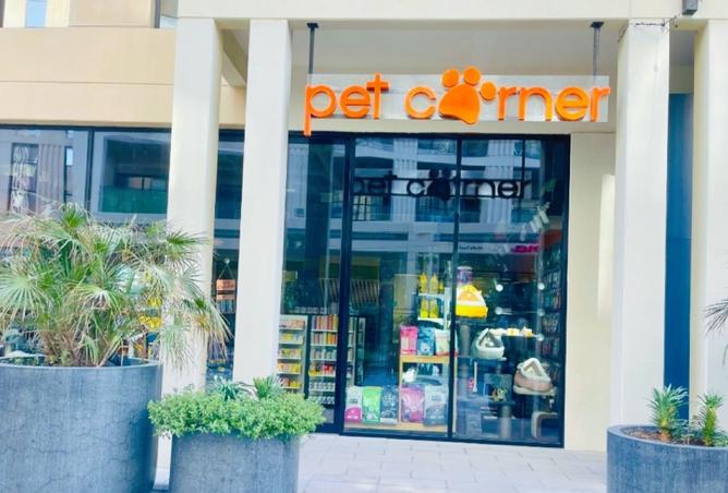 15835143 - Property Image 3