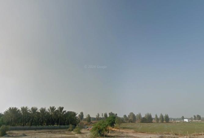 15417651 - Property Image 3