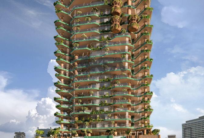 15424399 - Property Image 3