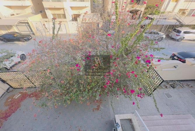 15443605 - Property Image 3