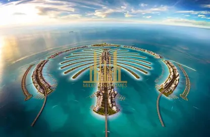 أرض - استوديو للبيع في نخلة جبل علي سعفة ك - نخلة جبل علي - دبي