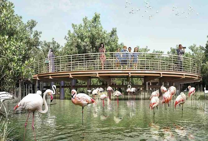 15269865 - Property Image 2