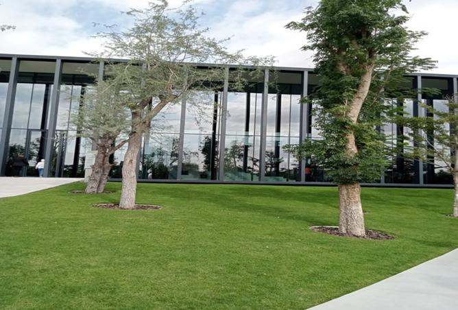 15817599 - صورة العقار 3