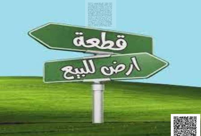 15926772 - Property Image 2