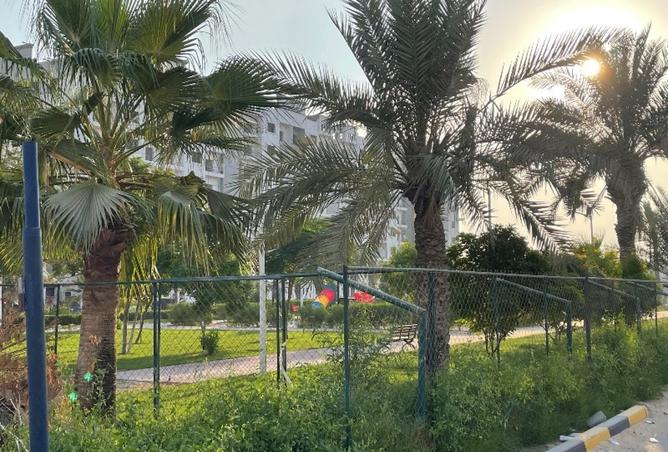 15705331 - صورة العقار 3