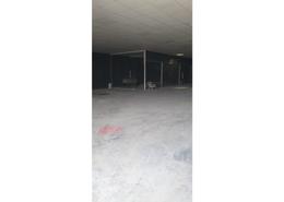 Warehouse for rent in Al Jurf - Ajman Downtown - Ajman Warehouse for rent in Al Jurf - Ajman Downtown - Ajman