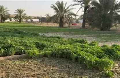 أرض - استوديو للايجار في المرقبات - ديرة - دبي