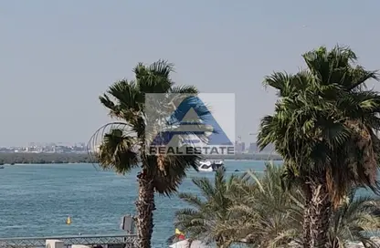 Apartment - Studio - 1 Bathroom for sale in Yas Island - Abu Dhabi