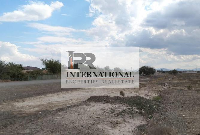 16080712 - Property Image 3