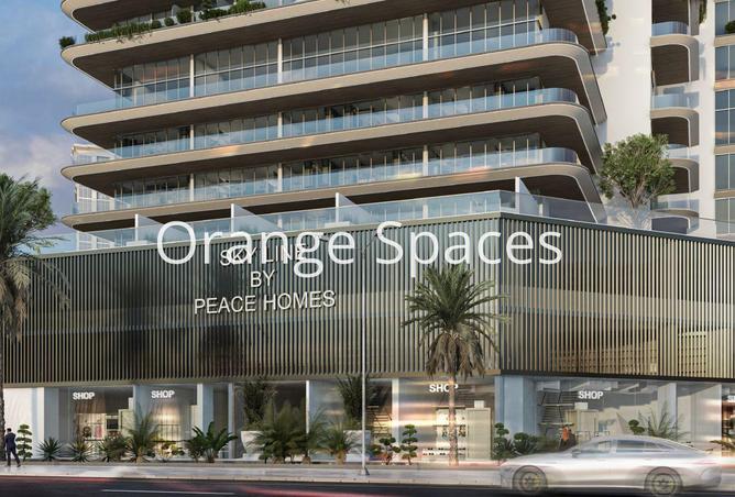 16059279 - Property Image 3