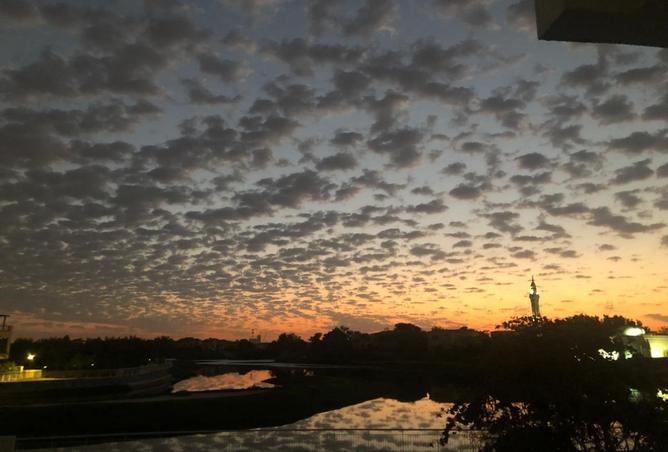 15257234 - صورة العقار 2