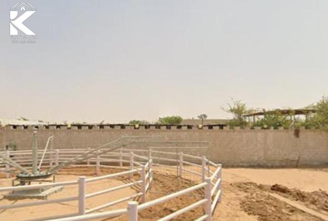 15962429 - Property Image 3