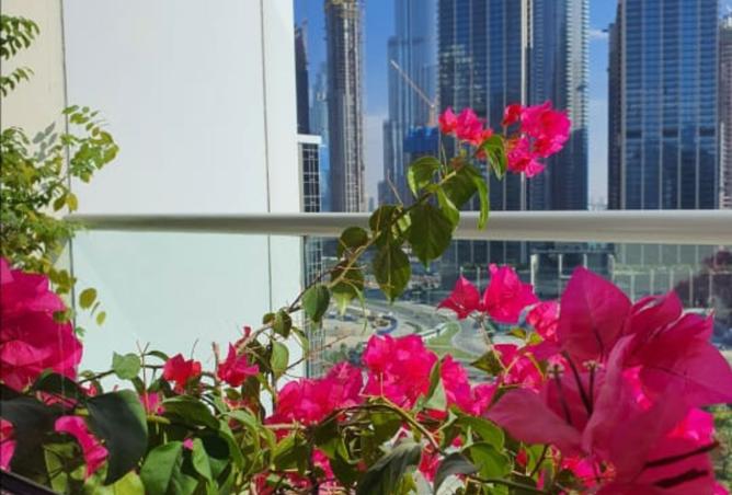 15553001 - Property Image 2