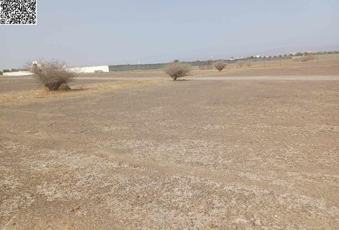 16064568 - Property Image 3