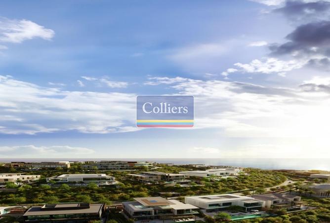 15542597 - Property Image 2