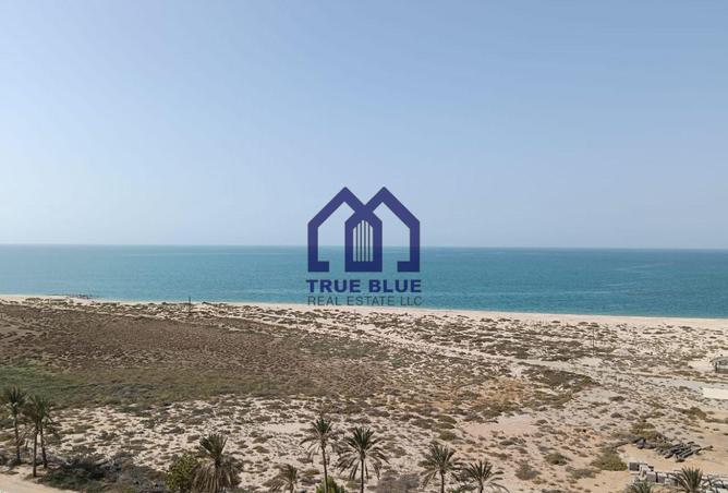 15596446 - صورة العقار 2