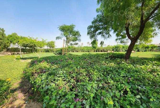 15520315 - Property Image 2