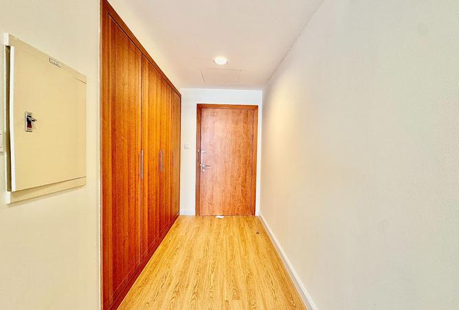 16048819 - Property Image 3