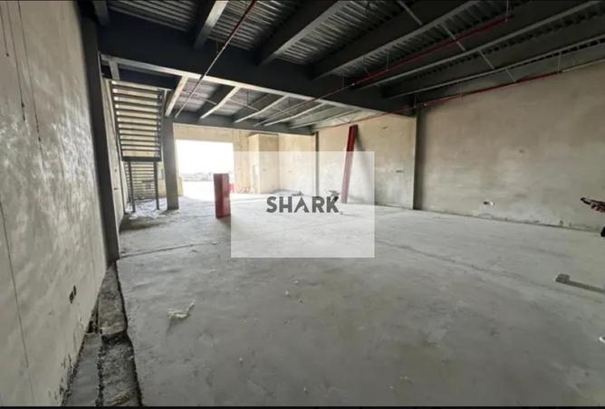 15986219 - Property Image 3