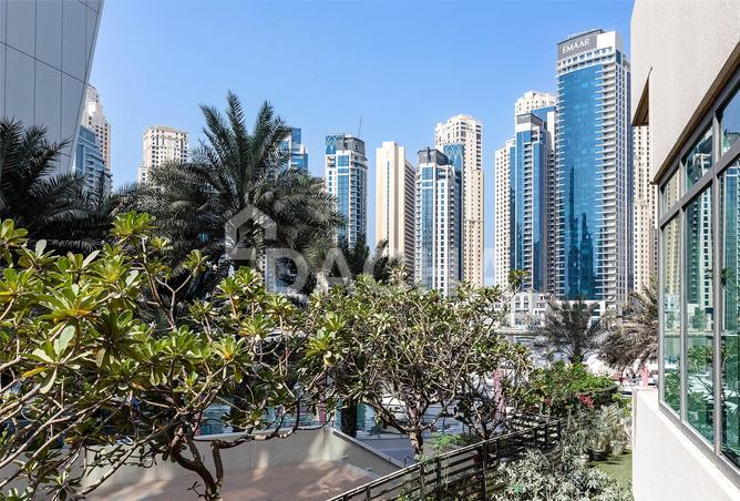 15882643 - صورة العقار 3