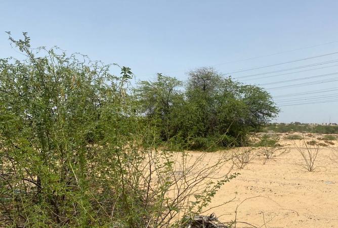 15529965 - الصورة الرئيسية للعقار