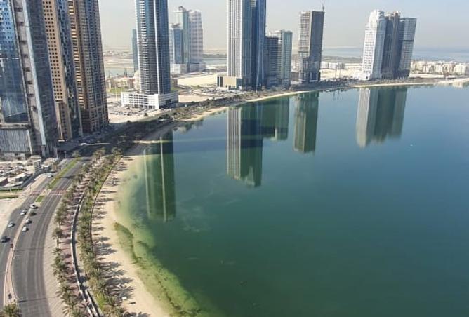 15837849 - Property Image 3