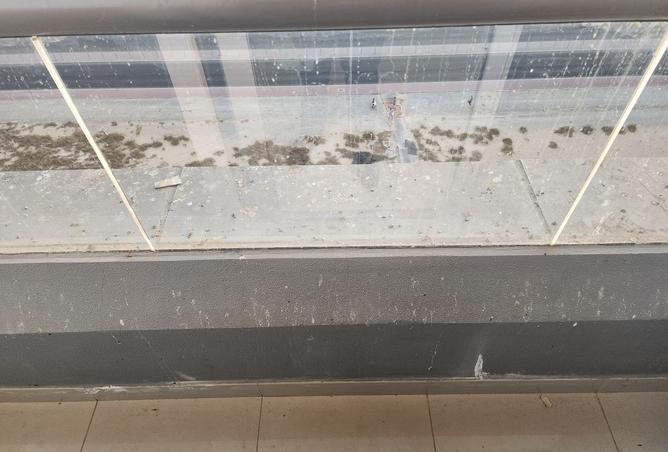 15577613 - صورة العقار 3