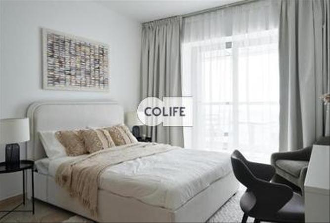 13448401 - Property Image 2