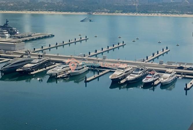 15784485 - صورة العقار 2