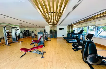 Gym image for: Townhouse - 4 Bedrooms - 4 Bathrooms for rent in Al Raha Beach - Abu Dhabi, Image 1