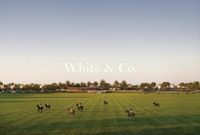 16101364 - صورة العقار 3