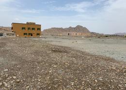 Land for sale in Masfoot 3 - Masfoot - Ajman