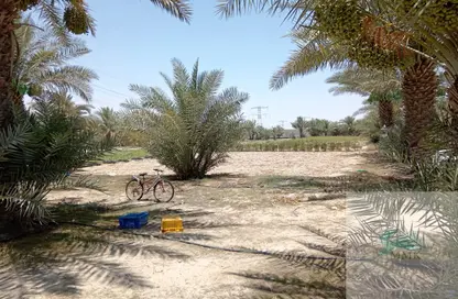 مزرعة - استوديو للبيع في العجبان - أبوظبي
