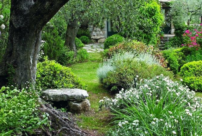 15957870 - Property Image 3