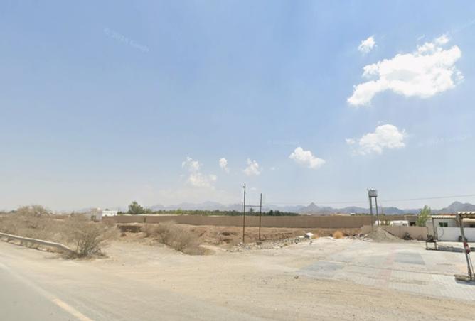 15629203 - Property Image 3