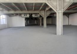 Show Room - 4 bathrooms for rent in Al Quoz Industrial Area 3 - Al Quoz Industrial Area - Al Quoz - Dubai