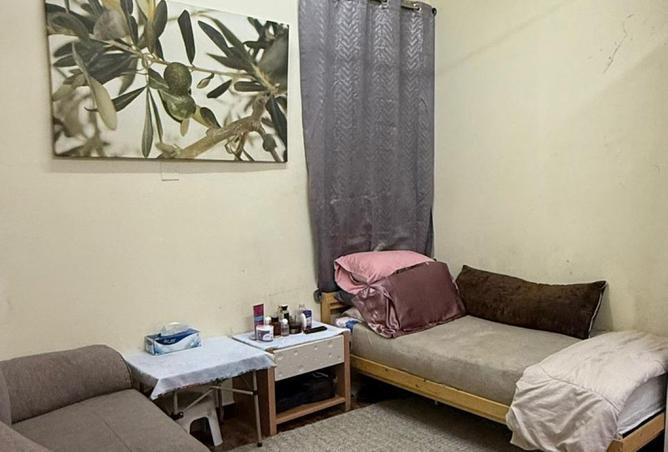 15279861 - Property Image 3